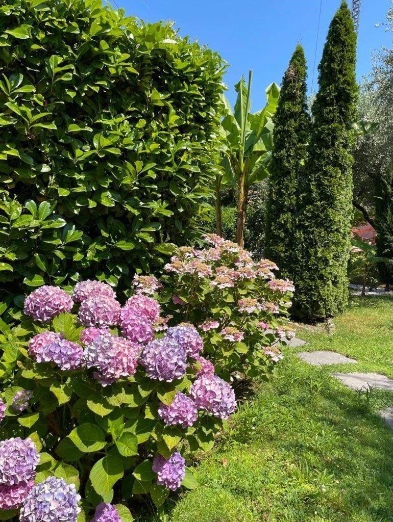 Appartamento La Perla Torri Del Benaco Bagian luar foto
